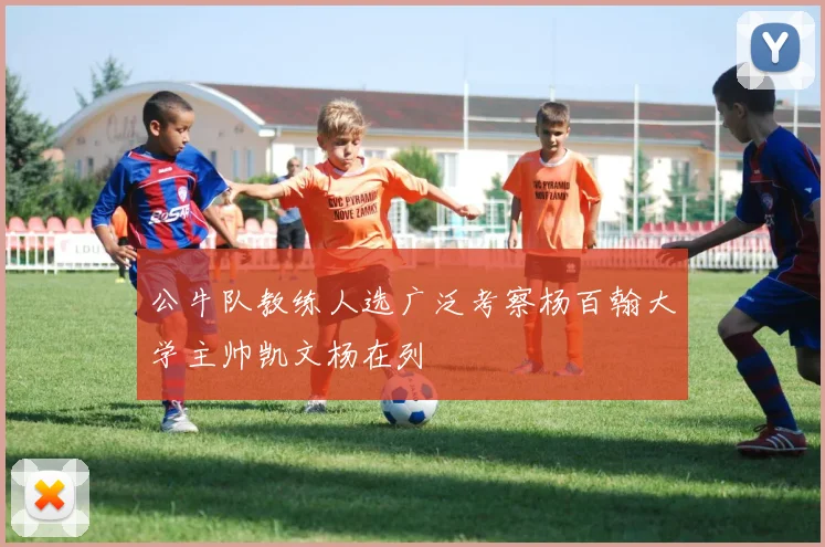 公牛队教练人选广泛考察杨百翰大学主帅凯文杨在列