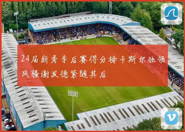 24届新秀季后赛得分榜卡斯尔独领风骚谢泼德紧随其后