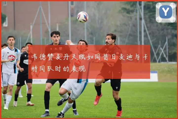 韦德赞麦丹天赋如同昔日麦迪与卡特同队时的表现