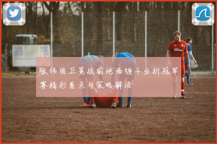张伟丽卫冕战前地面缠斗分析冠军赛精彩看点与策略解读